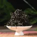 Mi Lan Xiang or "Honey Orchid" Dan Cong Oolong Tea