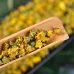 Huangshan Chrysanthemum Flower Buds Scented Tea