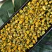 Huangshan Chrysanthemum Flower Buds Scented Tea